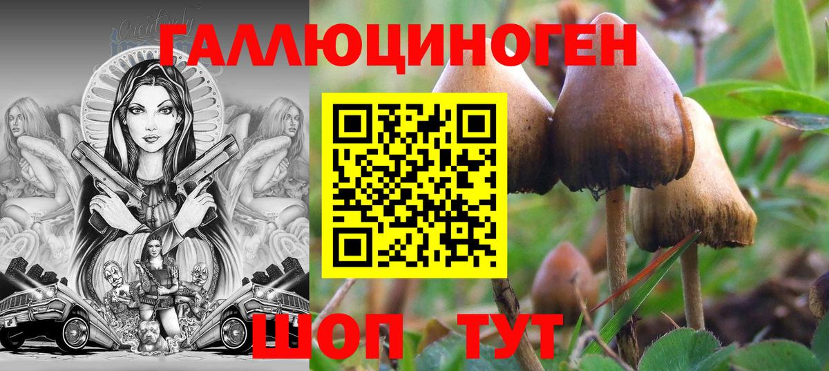 Галлюциногенные грибы Psilocybine cubensis  Псилоцибиновые грибы ЛСД  Вход с VPN  Анапа 